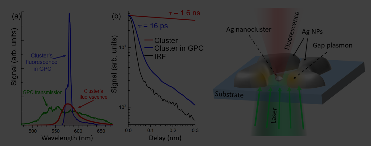 Publication: Silver cluster fluorescence in a plasmonic cavity