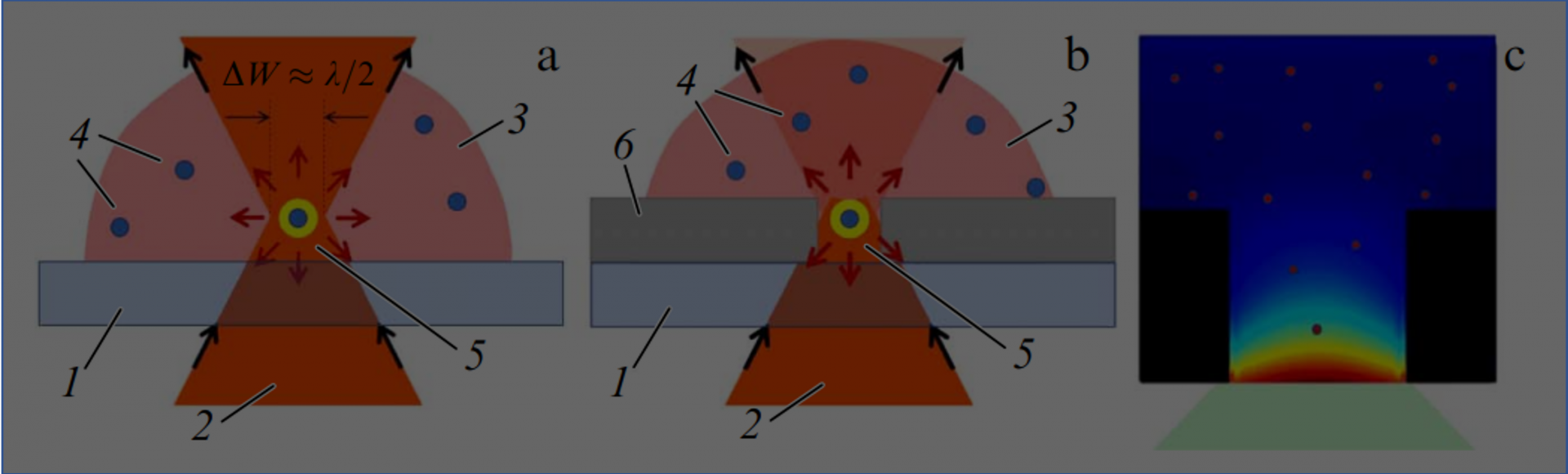 Publication: Optical methods for detection of single biomolecules